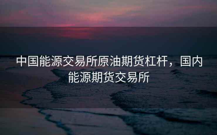 中国能源交易所原油期货杠杆，国内能源期货交易所  第1张