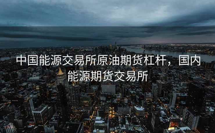 中国能源交易所原油期货杠杆，国内能源期货交易所  第2张