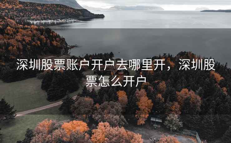 深圳股票账户开户去哪里开，深圳股票怎么开户  第1张